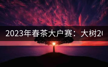 2023年春茶大戶賽：大樹200-300元／公斤，古樹800-1000元／公斤