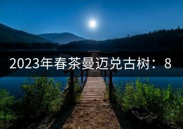 2023年春茶曼邁兌古樹：860元／Kg，小樹：180元／kg