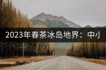 2023年春茶冰島地界：中小樹1300-1500元／公斤，古樹2200~2500元／公斤