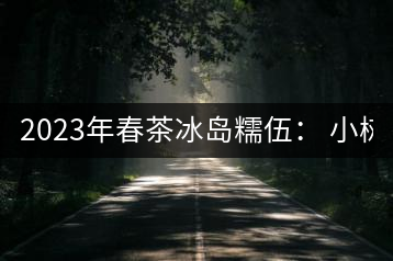 2023年春茶冰島糯伍: 小樹1300元/公斤,古樹:2100~2300元/公斤