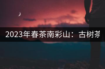 2023年春茶南彩山：古樹(shù)茶2000-2200元／公斤，大樹(shù)混采1200-1500元／公斤。
