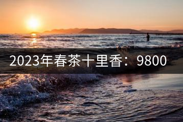 2023年春茶十里香：9800-12000元／公斤，十里香紅茶：9800-12000元／公斤