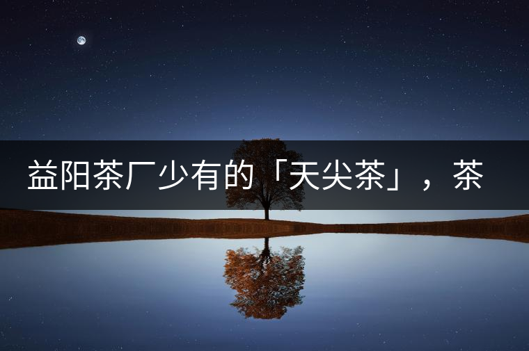 益陽茶廠少有的「天尖茶」，茶品升級(jí)，收藏趁早！