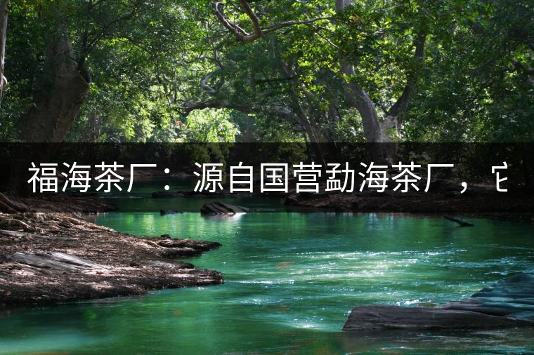 福海茶廠：源自國營勐海茶廠，它是99易武綠星星之母