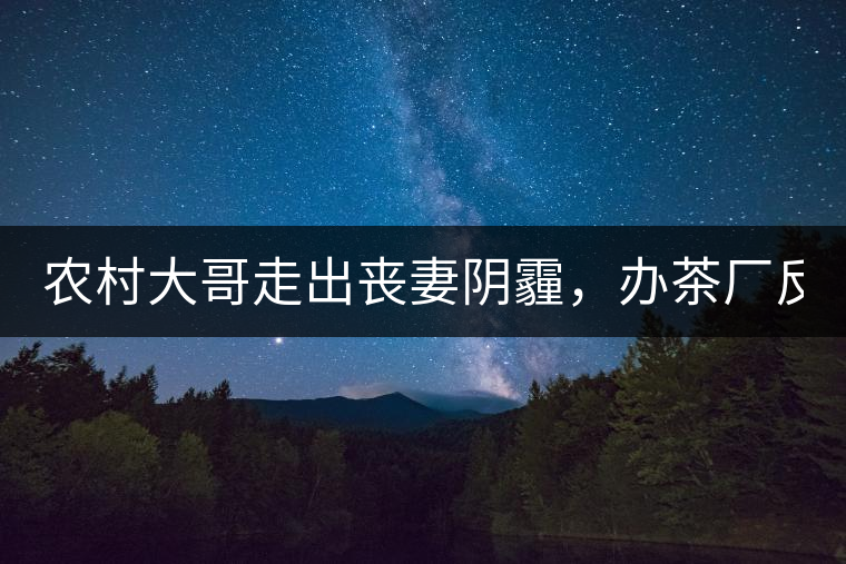 農(nóng)村大哥走出喪妻陰霾，辦茶廠反哺鄉(xiāng)鄰，每天處理鮮葉4000斤