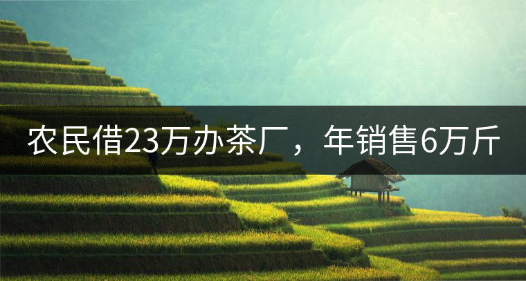 農(nóng)民借23萬辦茶廠，年銷售6萬斤，每天休息僅20分鐘!農(nóng)民借23萬辦茶廠，年銷售6萬斤，每天休息僅20分鐘！
