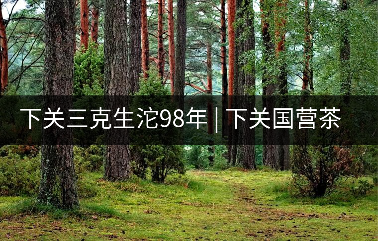 下關(guān)三克生沱98年 | 下關(guān)國營茶廠出口料，干倉儲存，...下關(guān)三克生沱98年 | 下關(guān)國營茶廠出口料，干倉儲存，19年老茶！