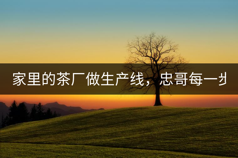 家里的茶廠做生產(chǎn)線，忠哥每一步都親自做，每個(gè)步驟...家里的茶廠做生產(chǎn)線，忠哥每一步都親自做，每個(gè)步驟都非常嚴(yán)謹(jǐn)！