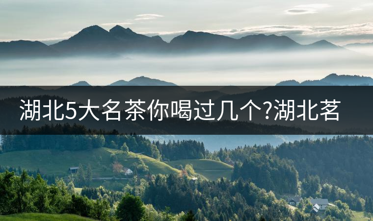 湖北5大名茶你喝過幾個?湖北茗茶的歷史故事?湖北茶哪...湖北5大名茶你喝過幾個？湖北茗茶的歷史故事？湖北茶哪個產(chǎn)地好