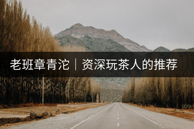 老班章青沱｜資深玩茶人的推薦，老班章專屬的老味道