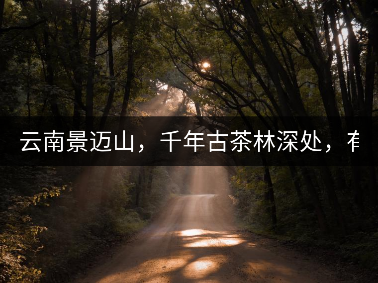 云南景邁山，千年古茶林深處，有一座世外桃源般的糯...云南景邁山，千年古茶林深處，有一座世外桃源般的糯干古寨