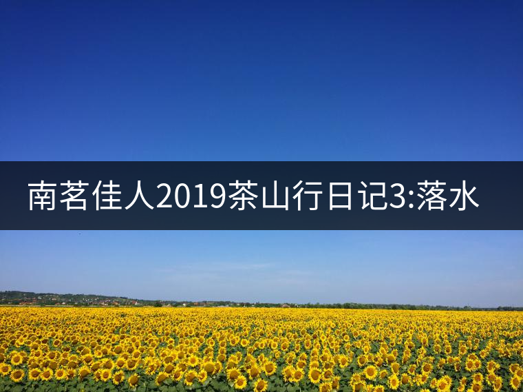 南茗佳人2019茶山行日記3:落水洞--200多年建村歷史，...南茗佳人2019茶山行日記3：落水洞——200多年建村歷史，靈動清越