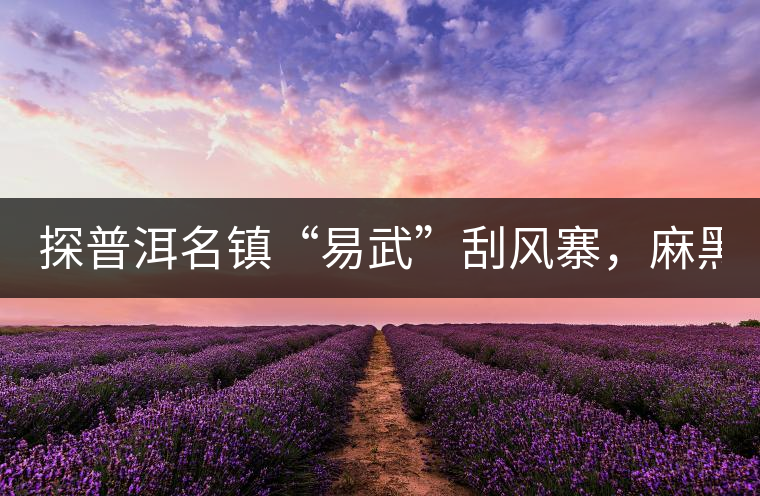 探普洱名鎮(zhèn)“易武”刮風寨，麻黑，落水洞!小編親自下...探普洱名鎮(zhèn)“易武”刮風寨，麻黑，落水洞！小編親自下手“殺青”