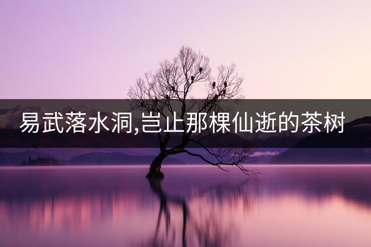 易武落水洞,豈止那棵仙逝的茶樹王?易武落水洞,豈止那棵仙逝的茶樹王？