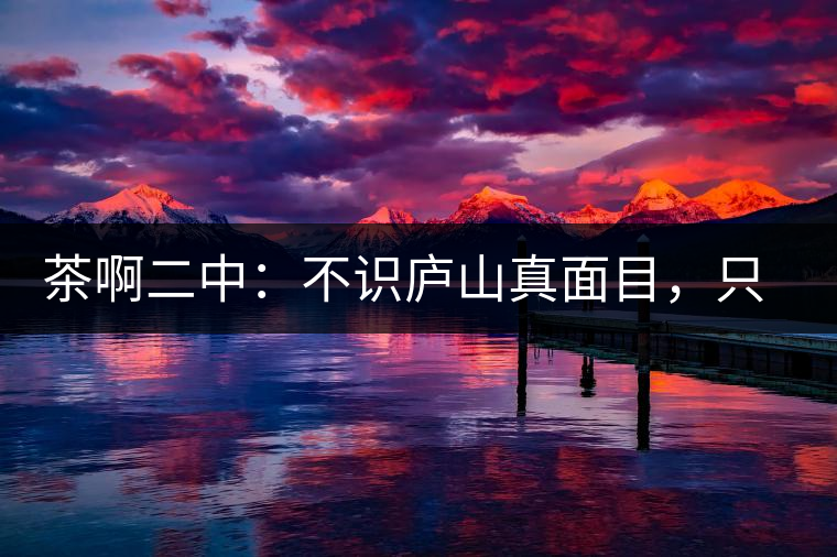 茶啊二中：不識廬山真面目，只識彎弓射大雕，賈淳真搞笑