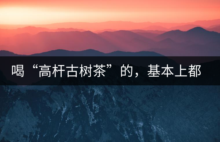 喝“高桿古樹茶”的，基本上都是不懂茶的