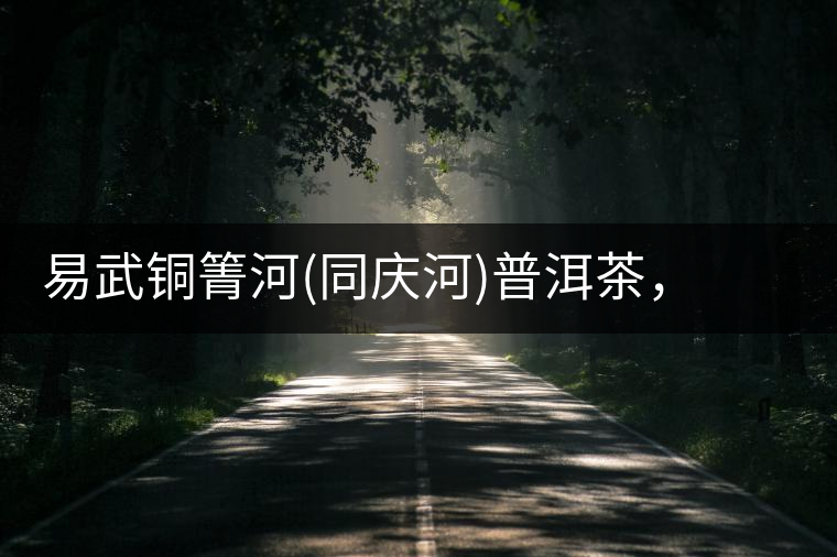 易武銅箐河(同慶河)普洱茶，讓我拜倒的不止它的口感易武銅箐河（同慶河）普洱茶，讓我拜倒的不止它的口感