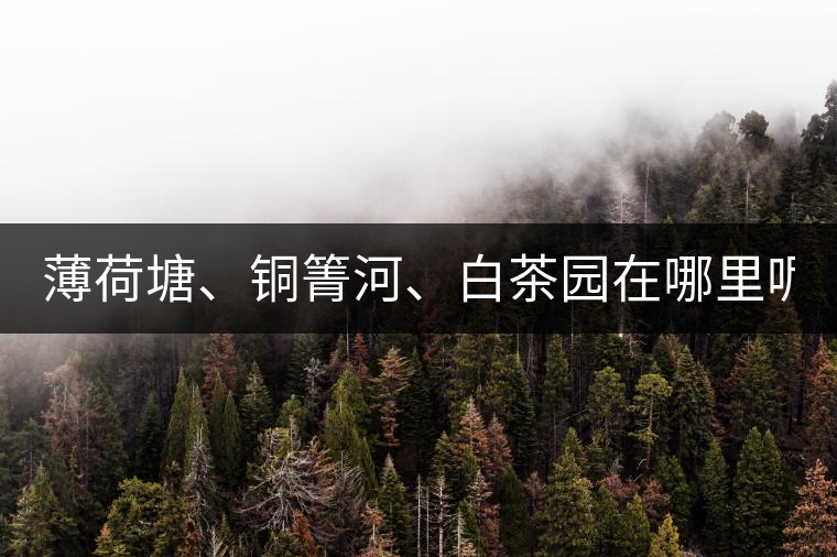 薄荷塘、銅箐河、白茶園在哪里呢?薄荷塘、銅箐河、白茶園在哪里呢？
