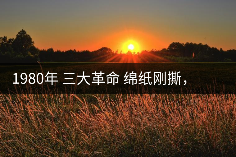 1980年 三大革命 綿紙剛撕，品相極好，整體干凈漂亮1980年 三大革命 綿紙剛撕，品相極好，整體干凈漂亮