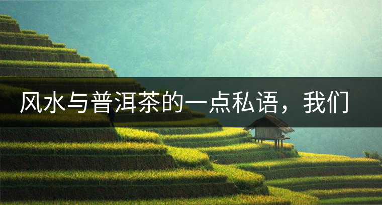 風(fēng)水與普洱茶的一點(diǎn)私語，我們形而上的聊一把
