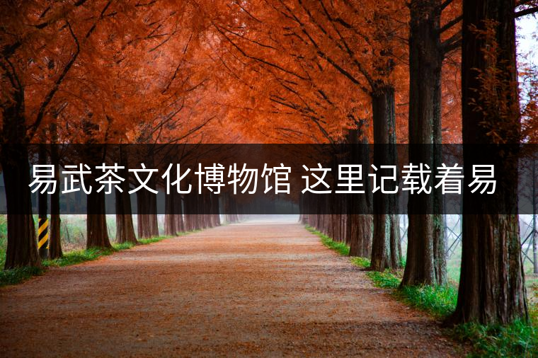 易武茶文化博物館 這里記載著易武古茶的歷史 易武茶文化博物館 這里記載著易武古茶的歷史