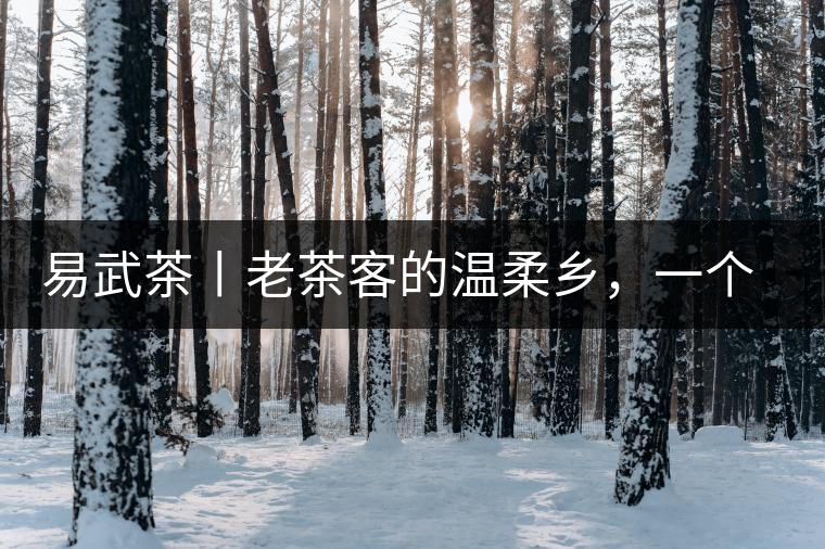 易武茶丨老茶客的溫柔鄉(xiāng)，一個(gè)“柔”字迷倒了多少英雄漢！