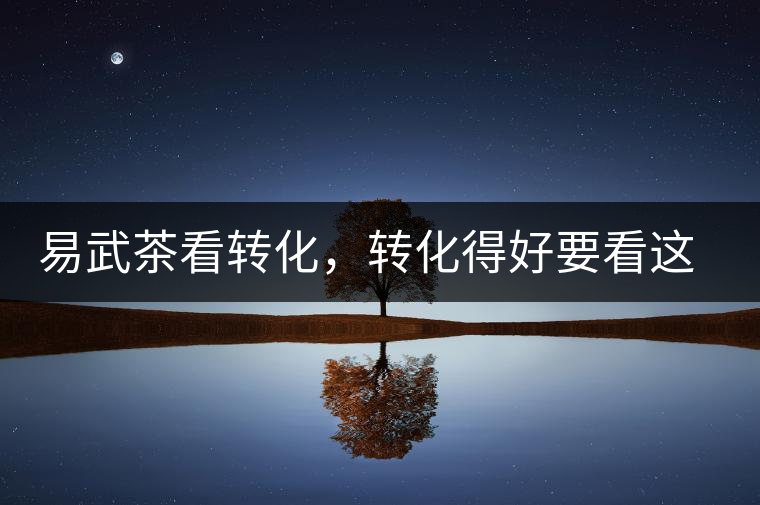 易武茶看轉(zhuǎn)化，轉(zhuǎn)化得好要看這三要素及品牌優(yōu)勢(shì)！
