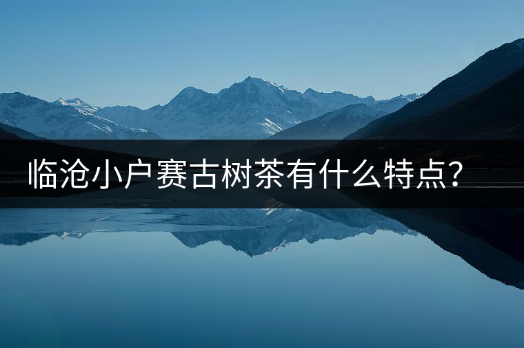 臨滄小戶賽古樹茶有什么特點(diǎn)？因何被稱為“賽冰島”？