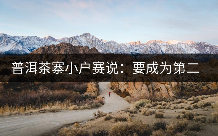 普洱茶寨小戶賽說：要成為第二個冰島，勐庫普洱茶圈都爆了！