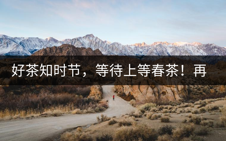 好茶知時節(jié)，等待上等春茶！再來回味這些年喝過的小戶賽古樹春茶