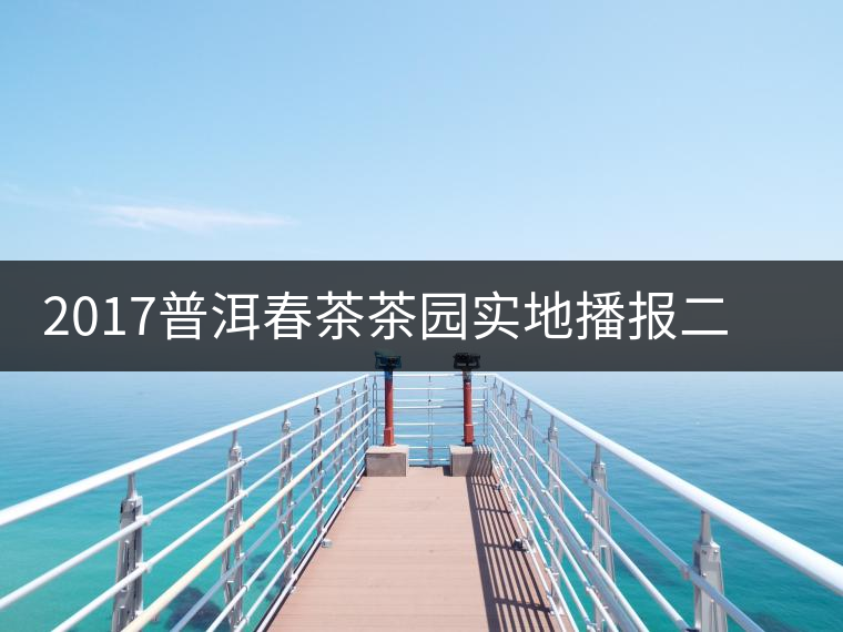 2017普洱春茶茶園實(shí)地播報(bào)二——臨倉(cāng)勐庫(kù)鎮(zhèn)小戶賽