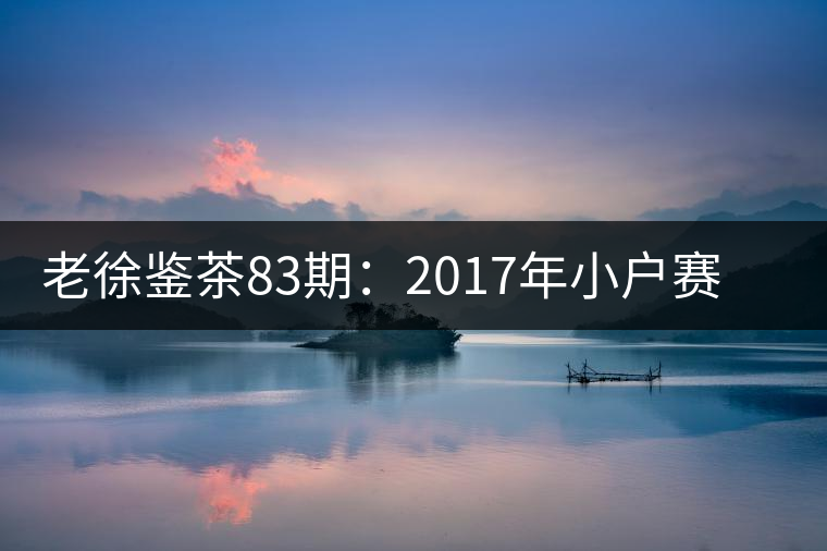 老徐鑒茶83期：2017年小戶賽普洱茶春茶品鑒報(bào)告（廣東茶友寄）