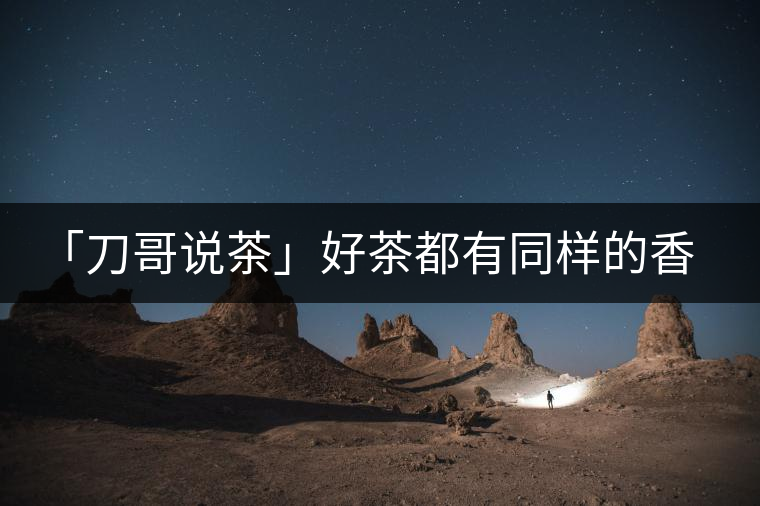 「刀哥說茶」好茶都有同樣的香，破茶卻有不同的味