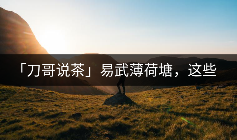 「刀哥說茶」易武薄荷塘，這些冷知識(shí)你該知道