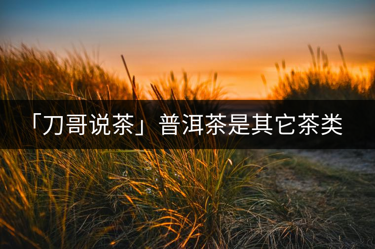 「刀哥說茶」普洱茶是其它茶類的終結(jié)者