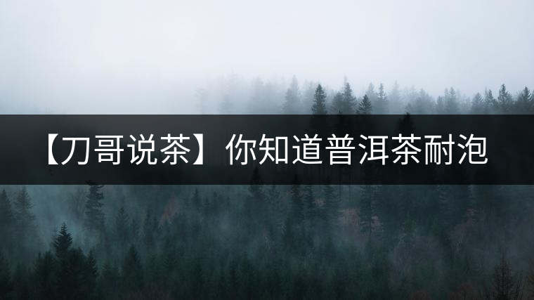 【刀哥說茶】你知道普洱茶耐泡，那你知道哪一類普洱茶比較耐泡？