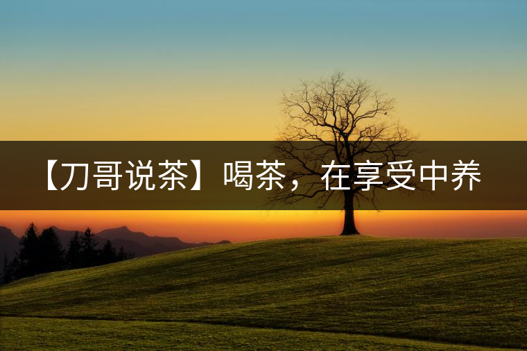 【刀哥說(shuō)茶】喝茶，在享受中養(yǎng)生的最佳選擇