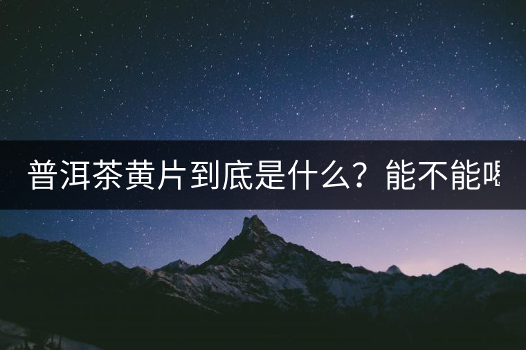 普洱茶黃片到底是什么？能不能喝？