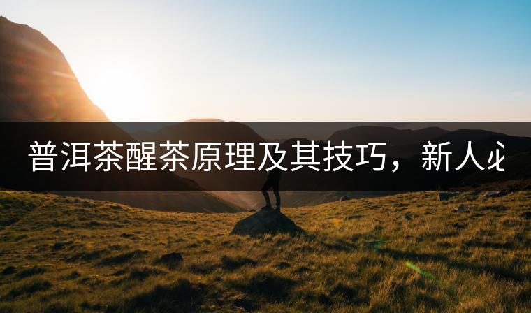 普洱茶醒茶原理及其技巧，新人必備！