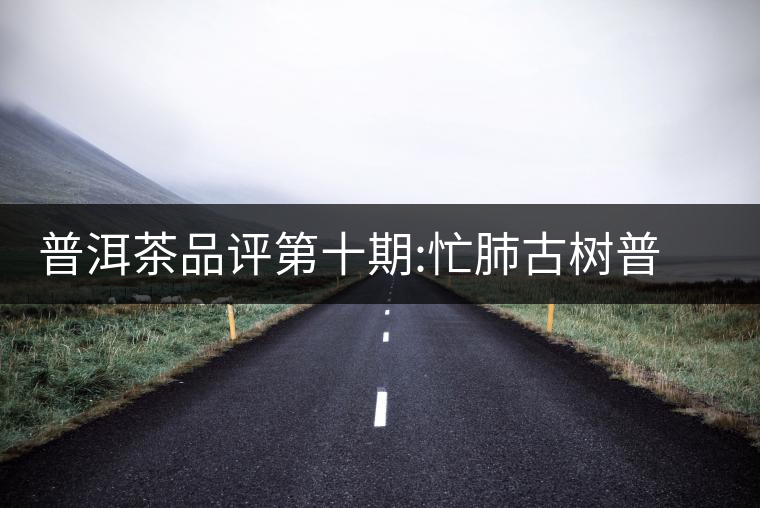 普洱茶品評(píng)第十期:忙肺古樹(shù)普洱茶品評(píng)第十期：忙肺古樹(shù)