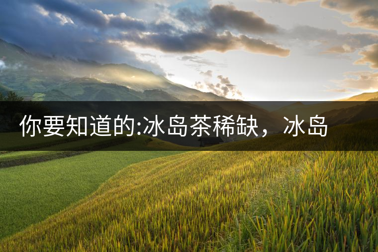 你要知道的:冰島茶稀缺，冰島熟茶更來之不易你要知道的：冰島茶稀缺，冰島熟茶更來之不易
