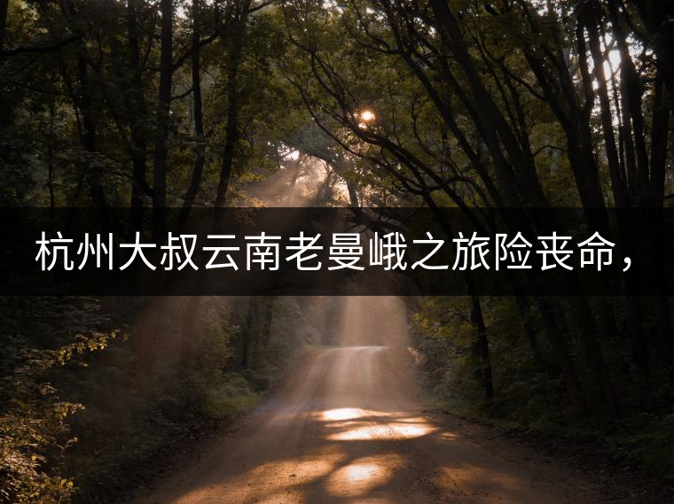 杭州大叔云南老曼峨之旅險喪命，買下茶園種茶，成普...杭州大叔云南老曼峨之旅險喪命，買下茶園種茶，成普洱圈網(wǎng)紅