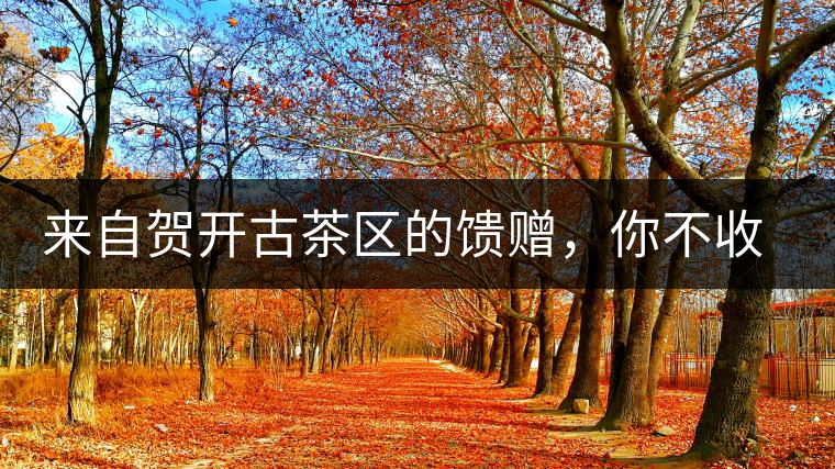來自賀開古茶區(qū)的饋贈，你不收一波嗎?來自賀開古茶區(qū)的饋贈，你不收一波嗎？