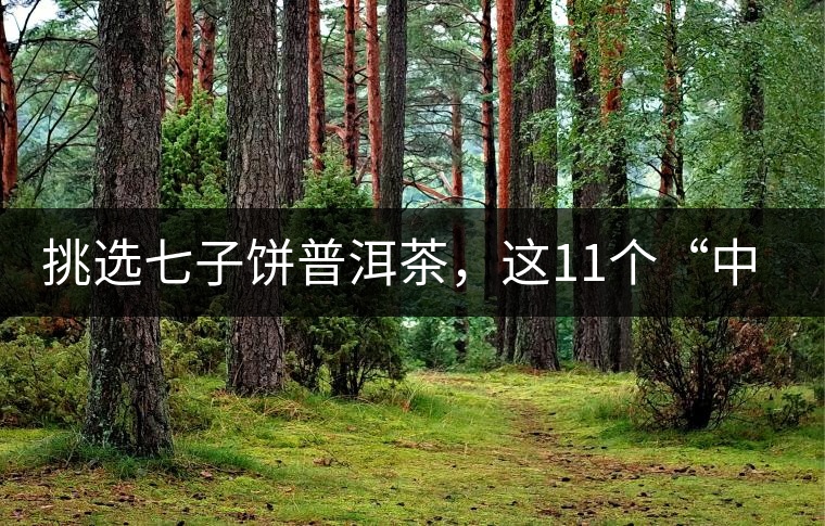 挑選七子餅普洱茶，這11個“中茶”標(biāo)志千萬別弄混!挑選七子餅普洱茶，這11個“中茶”標(biāo)志千萬別弄混！