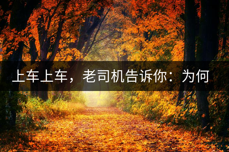 上車上車，老司機告訴你：為何明前茶貴如金