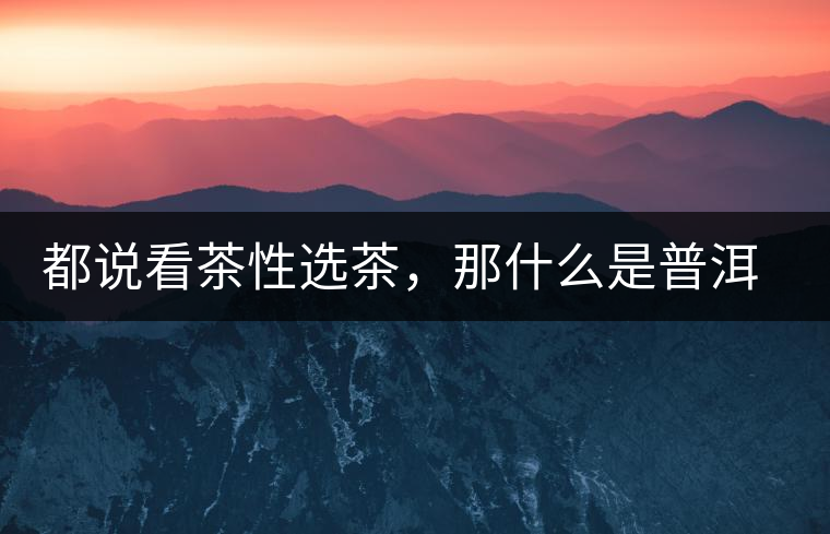 都說(shuō)看茶性選茶，那什么是普洱茶的“茶性”呢？