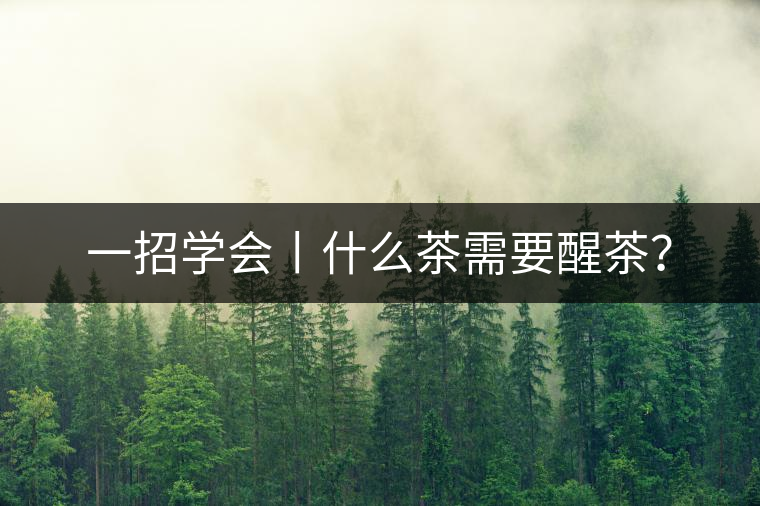 一招學(xué)會丨什么茶需要醒茶？