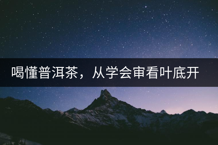 喝懂普洱茶，從學(xué)會(huì)審看葉底開始