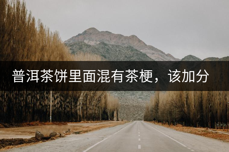 普洱茶餅里面混有茶梗，該加分還是減分？