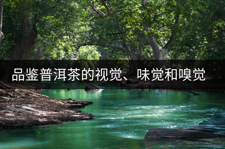 品鑒普洱茶的視覺、味覺和嗅覺指標